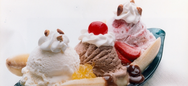 Er-Že Group doo Sladoled Gelato Fantazija, Extra Ice cream